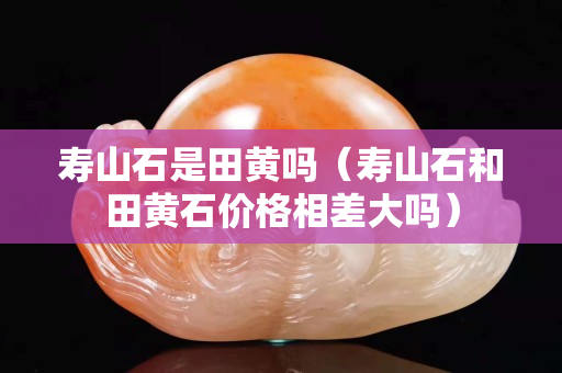 壽山石是田黃嗎（壽山石和田黃石價格相差大嗎）