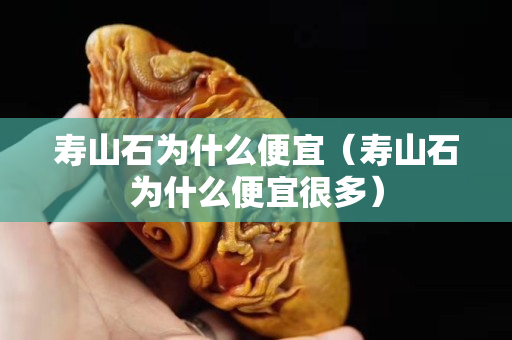 壽山石為什么便宜（壽山石為什么便宜很多）