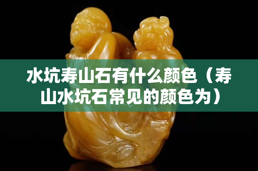 水坑壽山石有什么顏色（壽山水坑石常見的顏色為）
