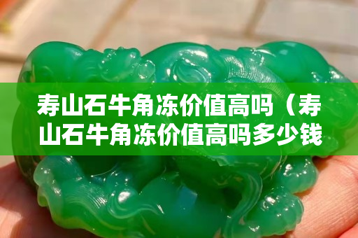 壽山石牛角凍價值高嗎（壽山石牛角凍價值高嗎多少錢）