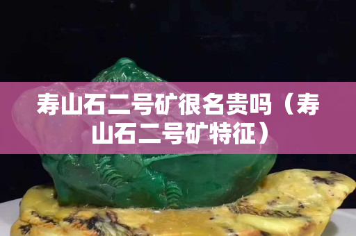 壽山石二號礦很名貴嗎（壽山石二號礦特征）