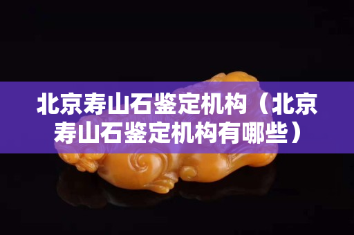 北京壽山石鑒定機構(gòu)（北京壽山石鑒定機構(gòu)有哪些）