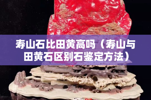 壽山石比田黃高嗎（壽山與田黃石區別石鑒定方法）