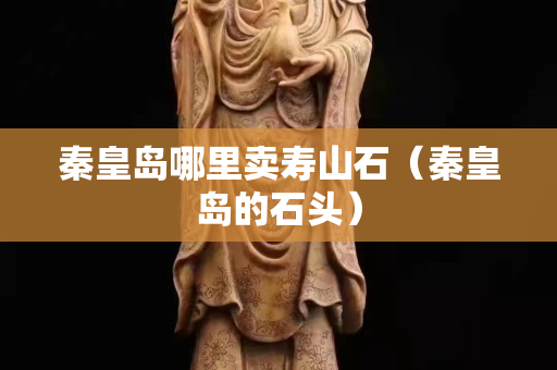 秦皇島哪里賣壽山石（秦皇島的石頭）