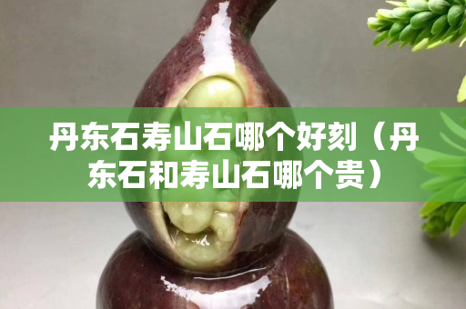 丹東石壽山石哪個好刻（丹東石和壽山石哪個貴）