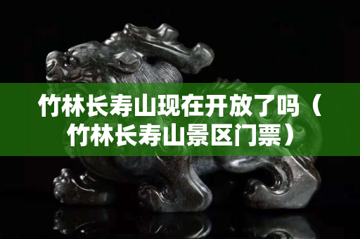 竹林長壽山現(xiàn)在開放了嗎（竹林長壽山景區(qū)門票）