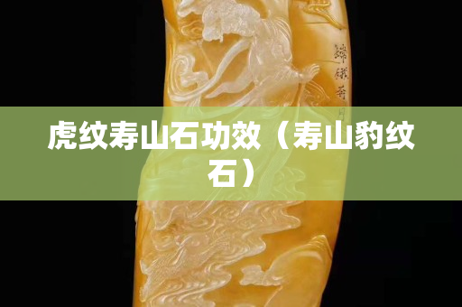 虎紋壽山石功效（壽山豹紋石）