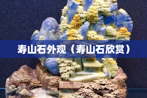 壽山石外觀（壽山石欣賞）