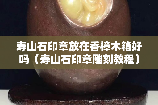 壽山石印章放在香樟木箱好嗎（壽山石印章雕刻教程）