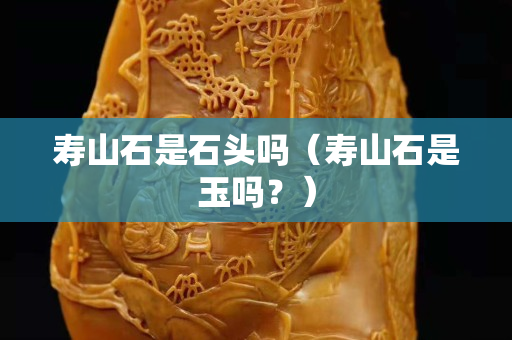 壽山石是石頭嗎（壽山石是玉嗎？）