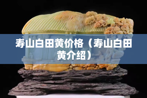 壽山白田黃價格（壽山白田黃介紹）