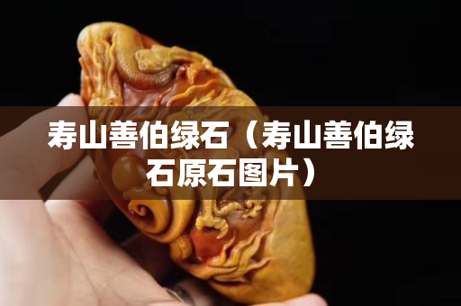 壽山善伯綠石（壽山善伯綠石原石圖片）