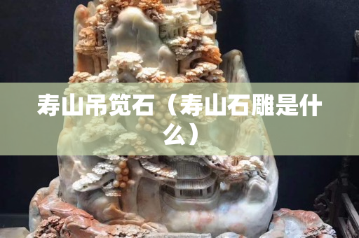 壽山吊筧石（壽山石雕是什么）