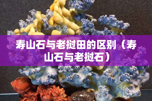 壽山石與老撾田的區(qū)別（壽山石與老撾石）