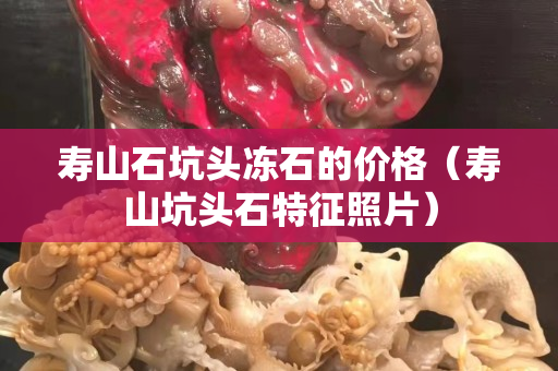 壽山石坑頭凍石的價格（壽山坑頭石特征照片）