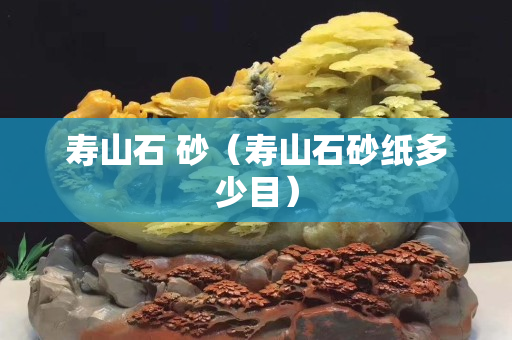 壽山石 砂（壽山石砂紙多少目）