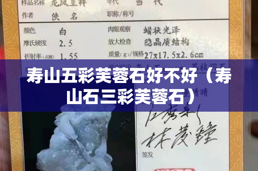 壽山五彩芙蓉石好不好（壽山石三彩芙蓉石）