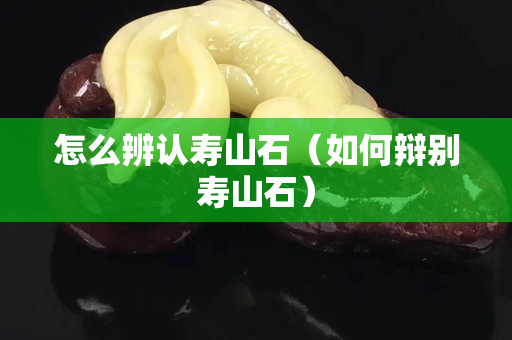 怎么辨認壽山石（如何辯別壽山石）