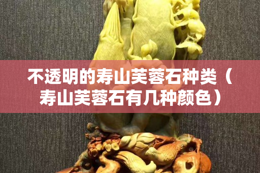 不透明的壽山芙蓉石種類（壽山芙蓉石有幾種顏色）