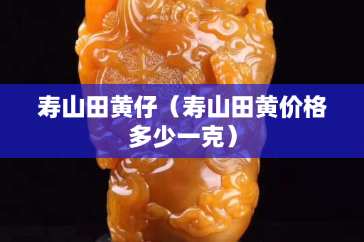 壽山田黃仔（壽山田黃價(jià)格多少一克）