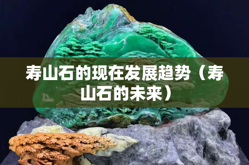 壽山石的現(xiàn)在發(fā)展趨勢（壽山石的未來）