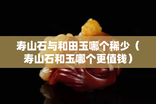 壽山石與和田玉哪個稀少（壽山石和玉哪個更值錢）