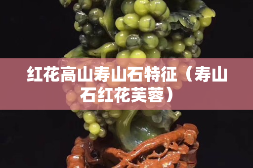 紅花高山壽山石特征（壽山石紅花芙蓉）