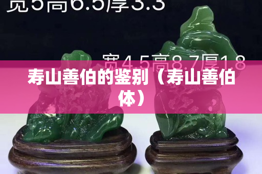 壽山善伯的鑒別（壽山善伯體）