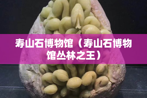 壽山石博物館（壽山石博物館叢林之王）