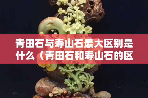 青田石與壽山石最大區(qū)別是什么（青田石和壽山石的區(qū)別）