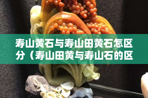 壽山黃石與壽山田黃石怎區分（壽山田黃與壽山石的區別）