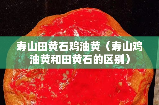 壽山田黃石雞油黃（壽山雞油黃和田黃石的區別）