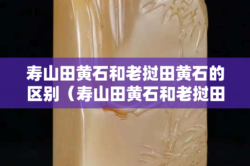 壽山田黃石和老撾田黃石的區別（壽山田黃石和老撾田黃石的區別視頻）