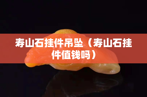 壽山石掛件吊墜（壽山石掛件值錢嗎）