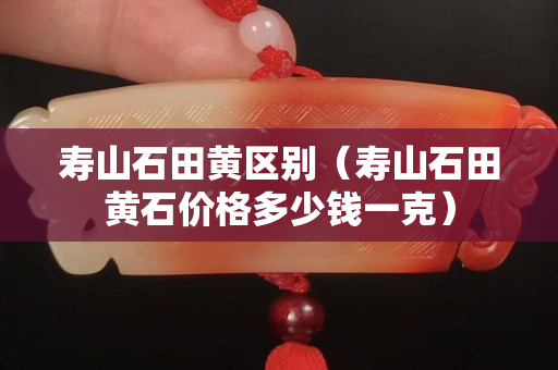 壽山石田黃區別（壽山石田黃石價格多少錢一克）