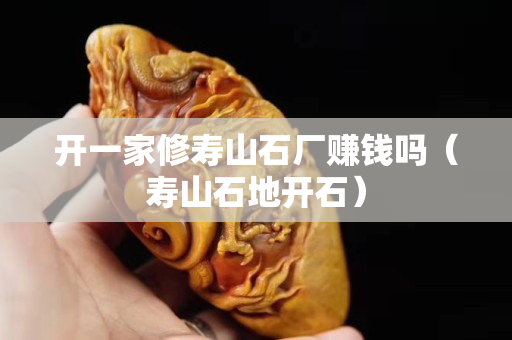 開(kāi)一家修壽山石廠賺錢(qián)嗎（壽山石地開(kāi)石）