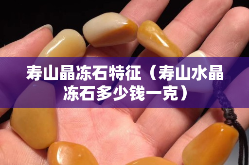 壽山晶凍石特征（壽山水晶凍石多少錢一克）