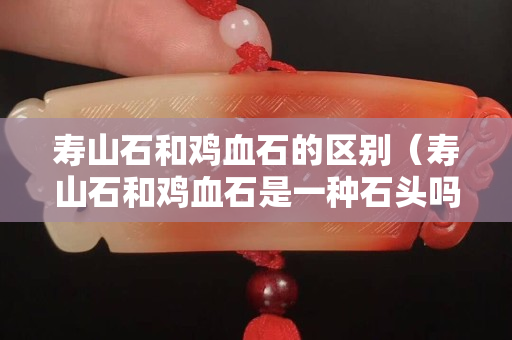 壽山石和雞血石的區別（壽山石和雞血石是一種石頭嗎）