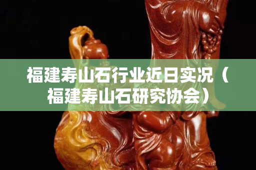 福建壽山石行業近日實況（福建壽山石研究協會）