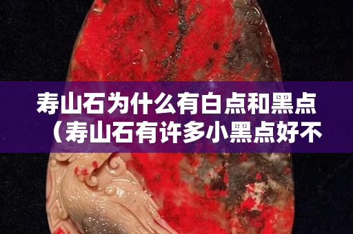 壽山石為什么有白點和黑點（壽山石有許多小黑點好不好）