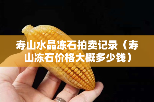 壽山水晶凍石拍賣記錄（壽山凍石價格大概多少錢）