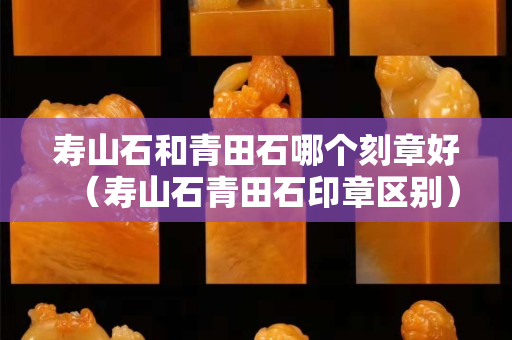 壽山石和青田石哪個刻章好（壽山石青田石印章區別）