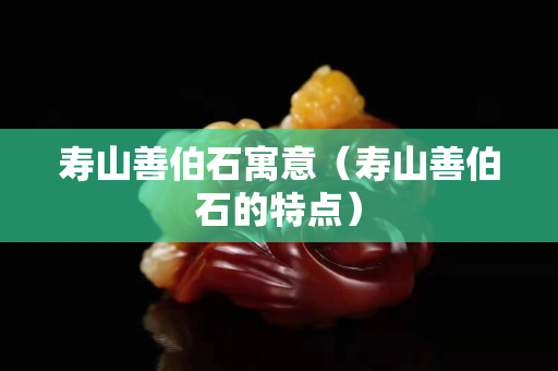 壽山善伯石寓意（壽山善伯石的特點）