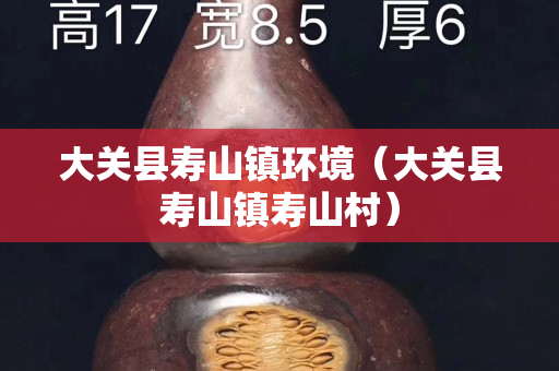 大關縣壽山鎮環境（大關縣壽山鎮壽山村）