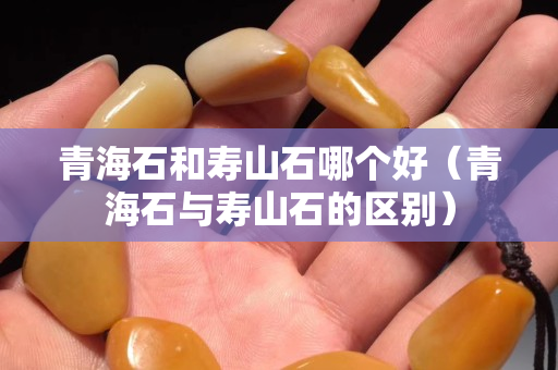 青海石和壽山石哪個好（青海石與壽山石的區別）