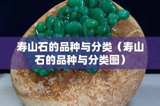 壽山石的品種與分類（壽山石的品種與分類圖）