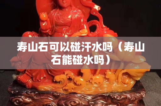 壽山石可以碰汗水嗎（壽山石能碰水嗎）