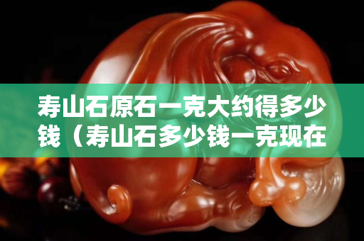 壽山石原石一克大約得多少錢（壽山石多少錢一克現在）