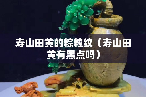 壽山田黃的粽粒紋（壽山田黃有黑點嗎）
