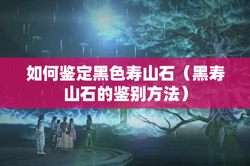 如何鑒定黑色壽山石（黑壽山石的鑒別方法）